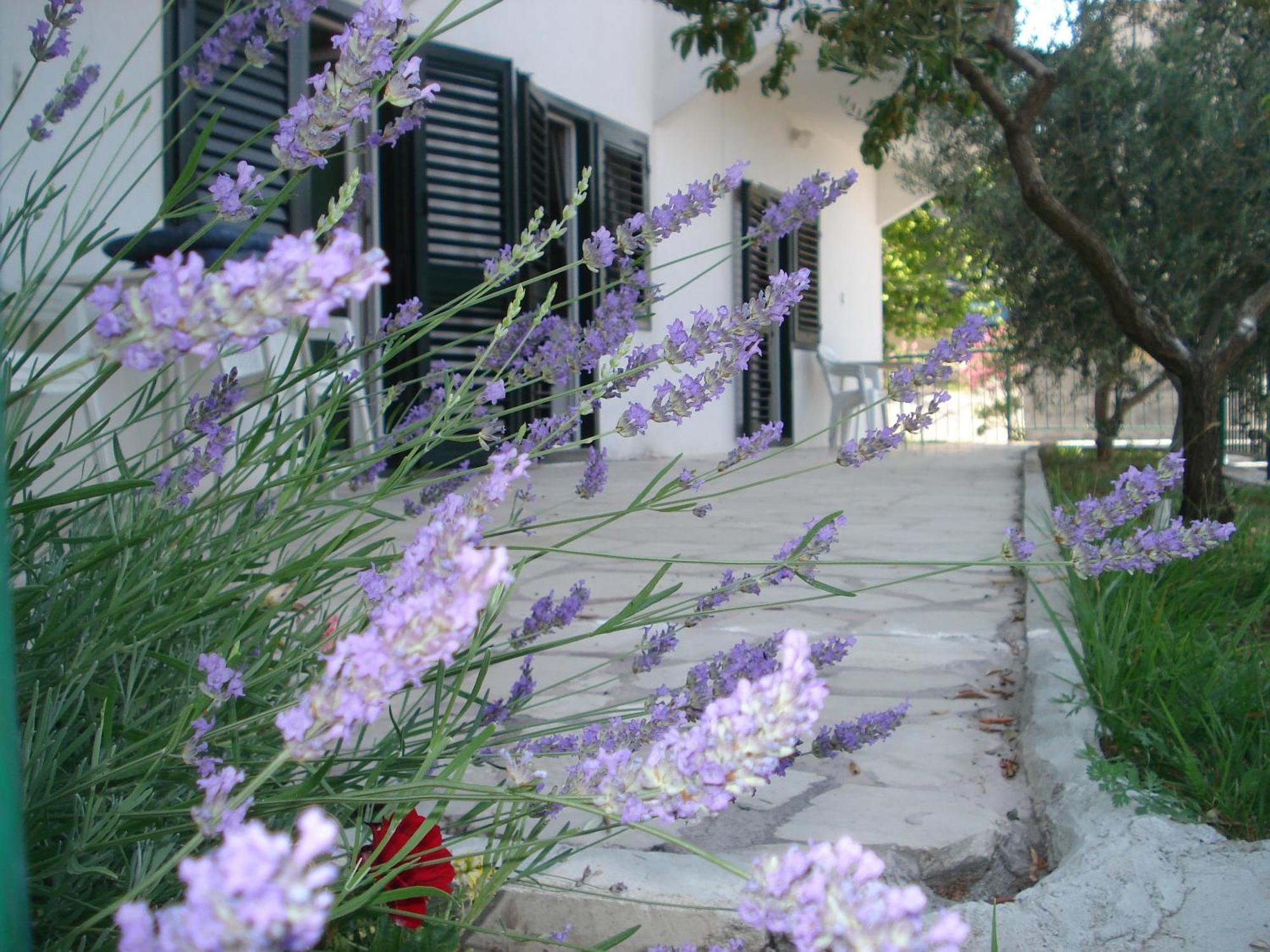 Apartments Smiljana 오미스 외부 사진